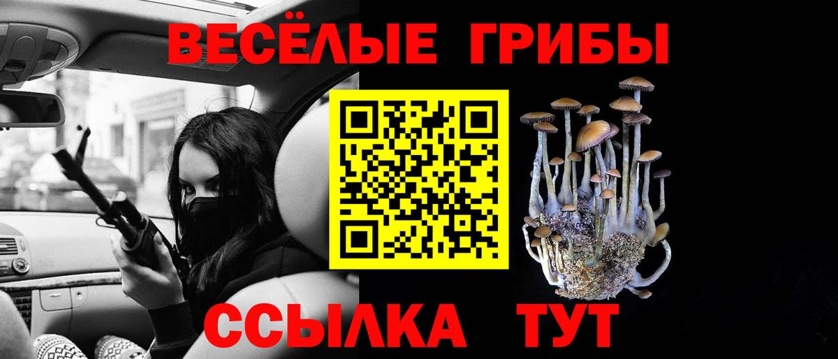 Псилоцибиновые грибы Psilocybe Богданович